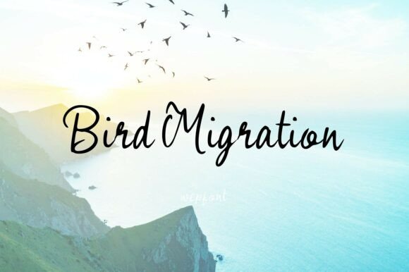 Bird Migration: Capturing the Essence of Flight in Typography